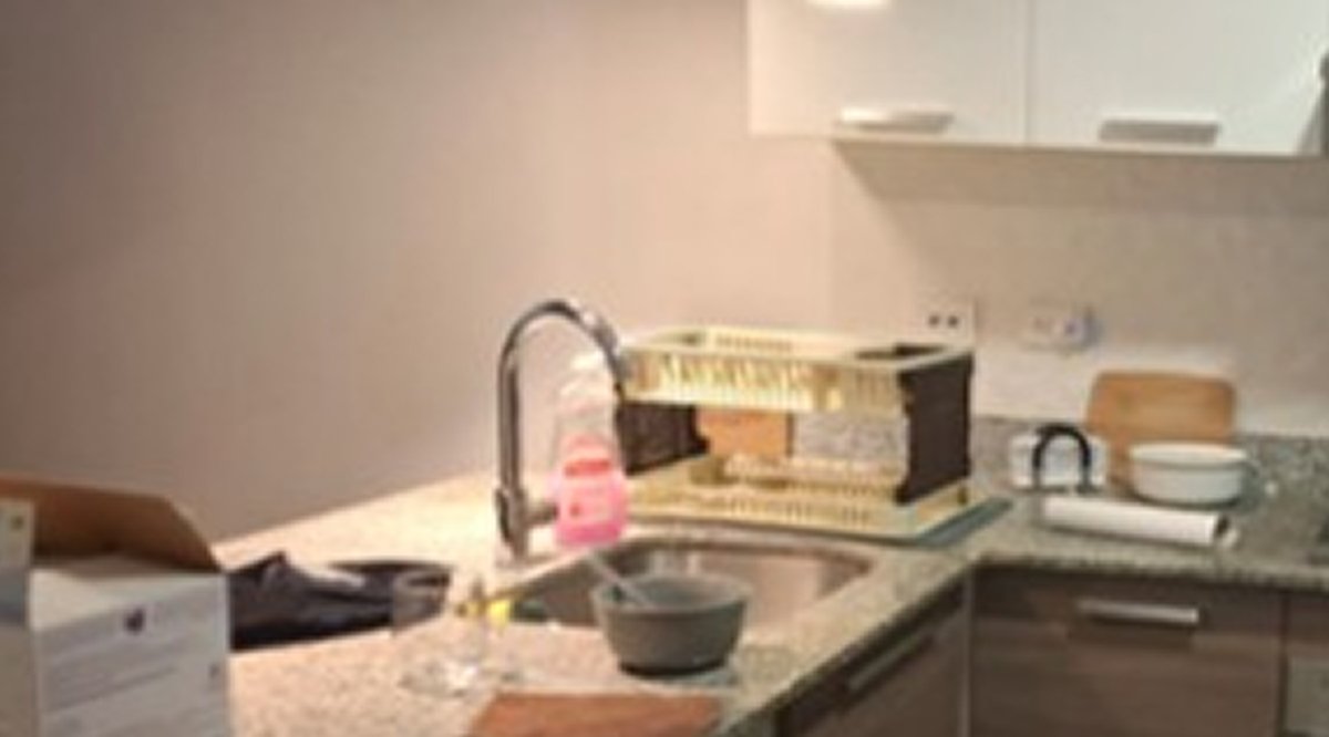 Eco-Green before and after